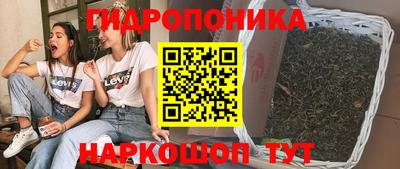гидра Гусев