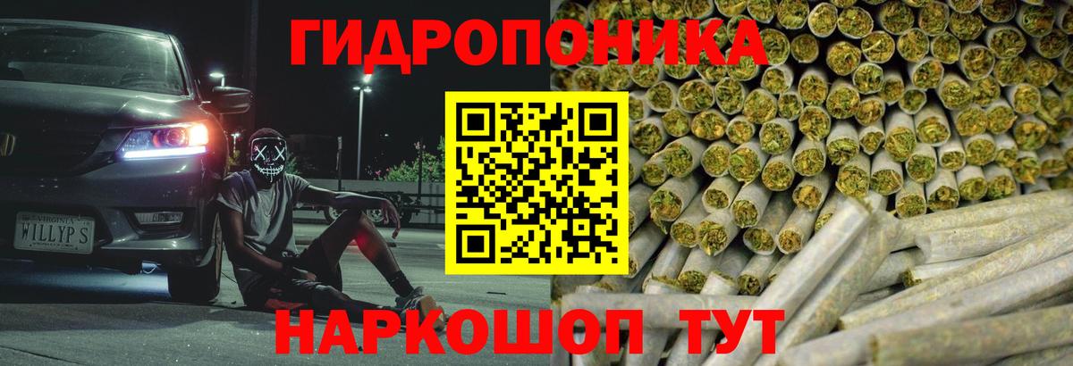 Шишки марихуана Amnesia Новоалександровск
